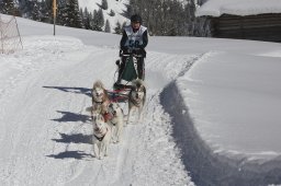 Kandersteg 2013